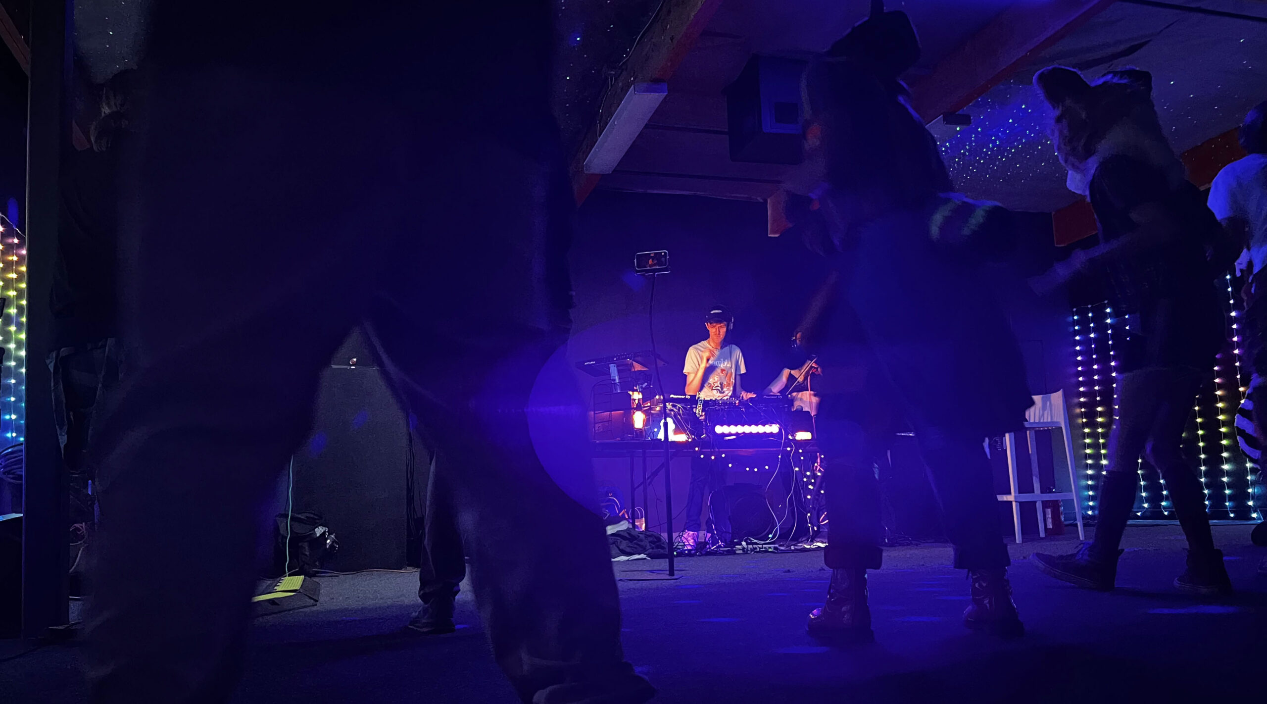 Furries dancing to DJ